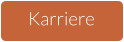 Karriere
